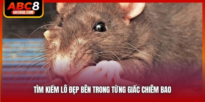 Tìm kiếm lô đẹp bên trong từng giấc chiêm bao