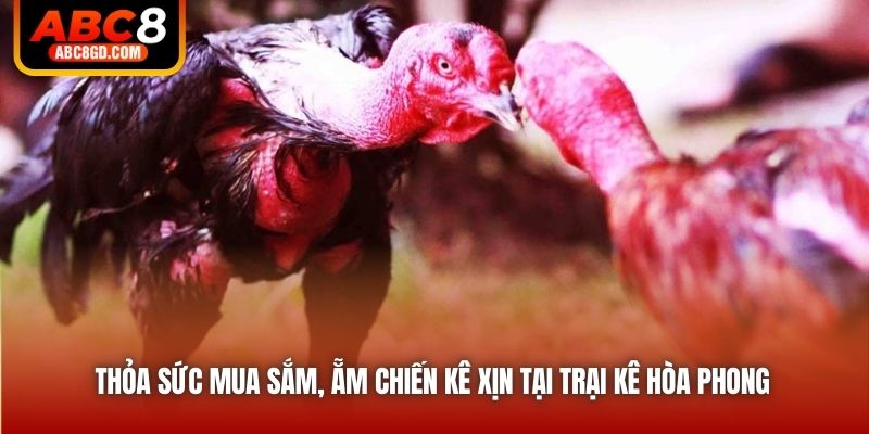 Thỏa sức mua sắm, ẵm chiến kê xịn tại trại kê Hòa Phong