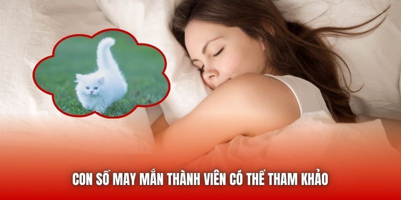 Con số may mắn thành viên có thể tham khảo