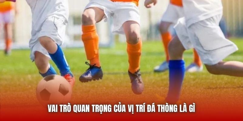 Vai trò quan trọng của vị trí đá thòng là gì